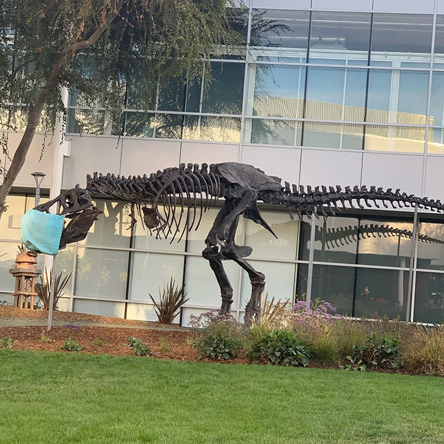 Google Stan The Dinosaur With A Mask