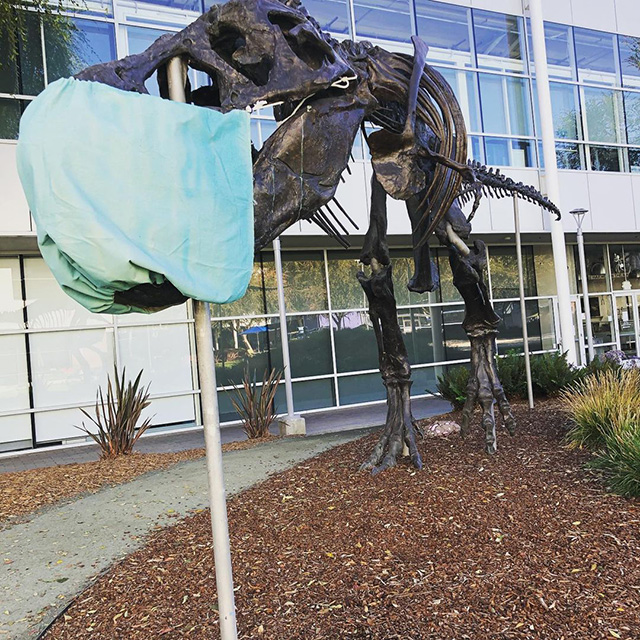 Google Stan The Dinosaur With A Mask