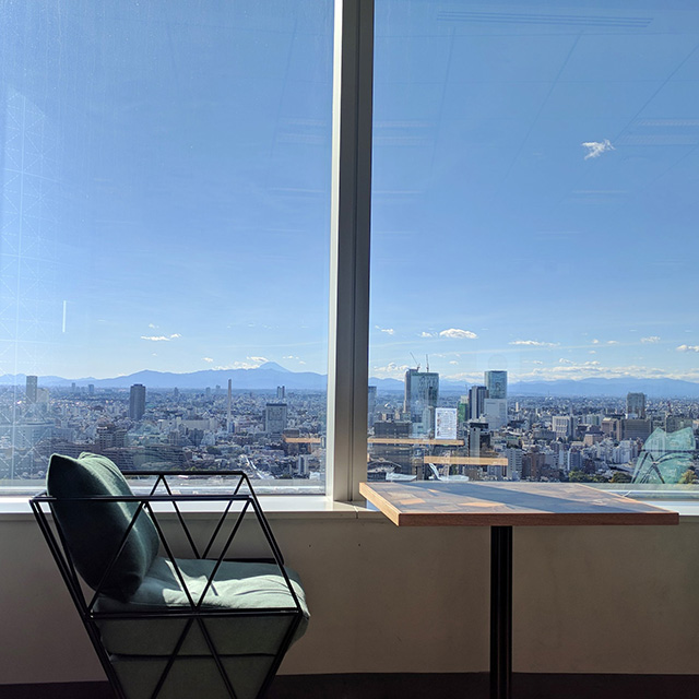 Mount Fuji From Google Tokyo