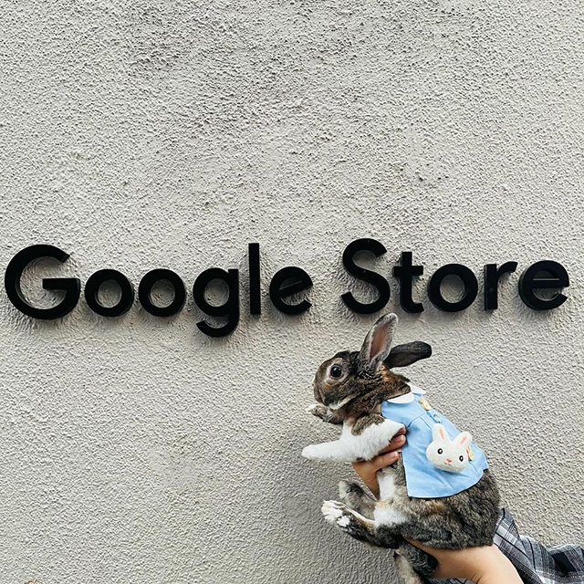 Google NYC Physical Store Sign with Bunny