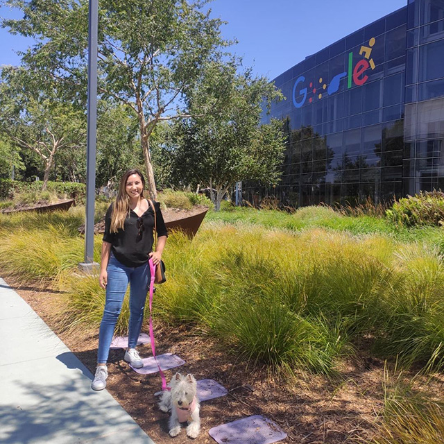 GooglePlex Back To Work Signage