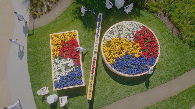 Google I/O Flower Bed
