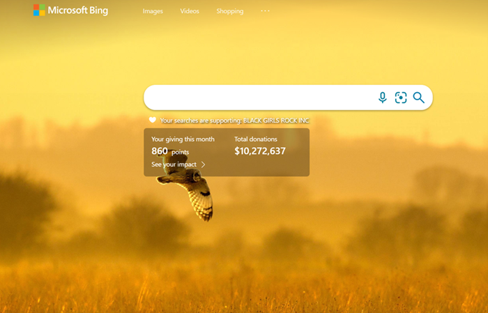 givewithbing.png givewithbing.png