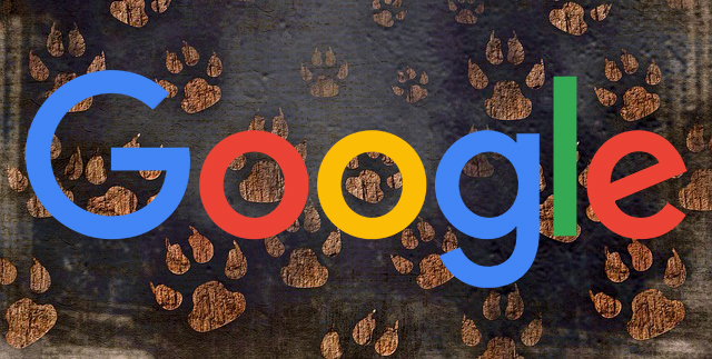 Google Foot Prints