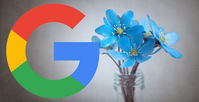 Google Blue Flowers