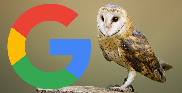 Google Owl