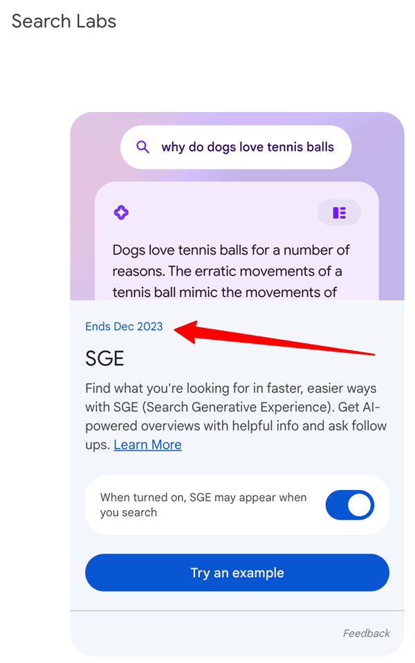 Google Sge Dec 2023