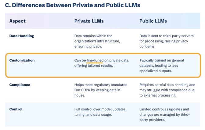 A screenshot of a table made by Kanerika, highlighting the difference between private and public LLMs. The row "Customization" has been highlighted—specifically the sentence in the "Private LLM" column which reads "Can be fine-tuned on private data, offering tailored results". The "Public LLM" version on the other hand reads "Typically trained on general datasets, leading to less specialized outputs"